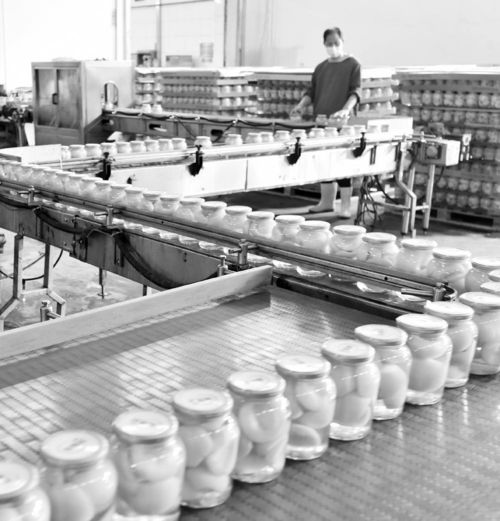 利用資源優(yōu)勢 發(fā)展特色產(chǎn)業(yè)